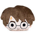 Harry Potter plush cushion