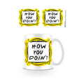Friends How You Doin mug 315ml